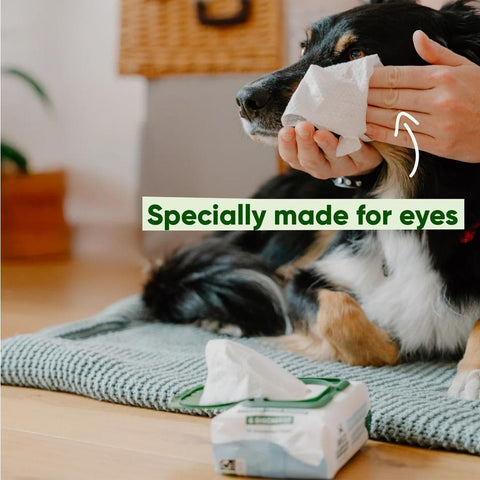 Beco Dog Eye Wipes – Parfumvrij