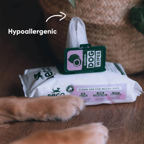 Beco Bamboo Dog Wipes – Kokosgeur