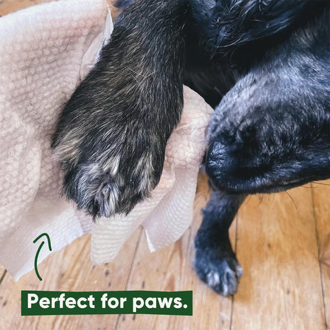 Beco Bamboo Dog Wipes – Kokosgeur