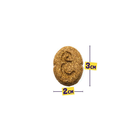 Edgard & Cooper Festive Biscuits (Kalkoen & Eend) - Puppy Village.nl