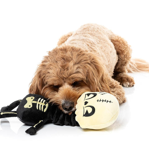 Hond speelt met een zwart pluche skelet bij de lange nek