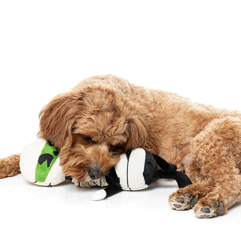 Hond speelt met een zwart-witte pluche mummie bij de omwikkelde nek