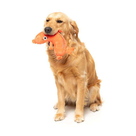 Hond speelt met FuzzYard Meat Head Brad Wurst – duurzaam pluche hondenspeeltje in de vorm van een vrolijke braadworst met lachend geborduurd gezicht en rode armpjes en beentjes