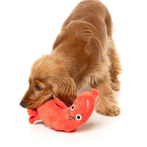 Hond speelt met FuzzYard Meat Head Brad Wurst – duurzaam pluche hondenspeeltje in de vorm van een vrolijke braadworst met lachend geborduurd gezicht en rode armpjes en beentjes