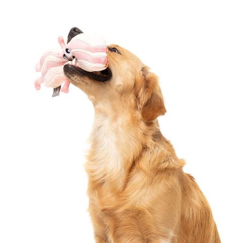 Hond speelt met FuzzYard Meat Head Kevin Bacon – duurzaam pluche hondenspeeltje in de vorm van een plak bacon met lachend geborduurd gezicht en roze pootjes