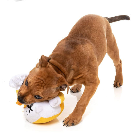 FuzzYard Quackson Five - Gordon Quacksay - Puppy Village.nl