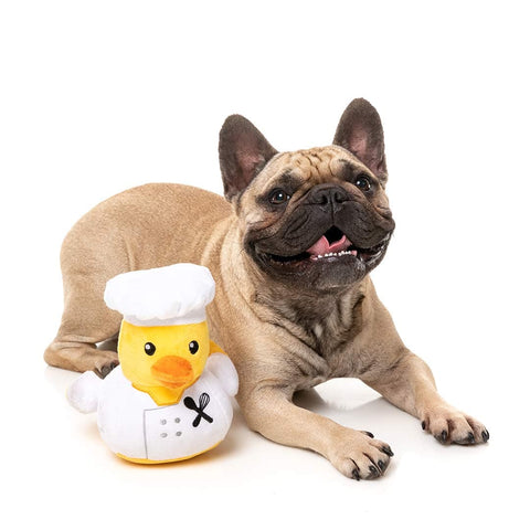 FuzzYard Quackson Five - Gordon Quacksay - Puppy Village.nl