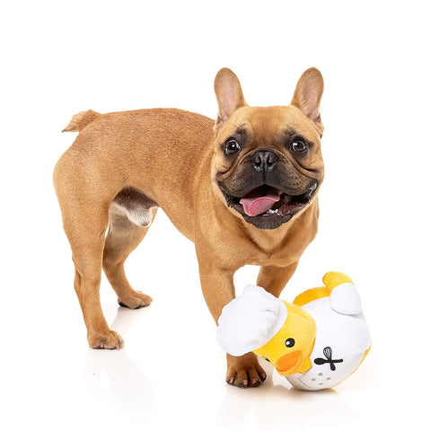 FuzzYard Quackson Five - Gordon Quacksay - Puppy Village.nl