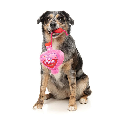 FuzzYard Valentine’s Tail Chaser Perfume – pluche Valentijns hondenspeeltje met touw en pieper, hartvormig parfumdesign