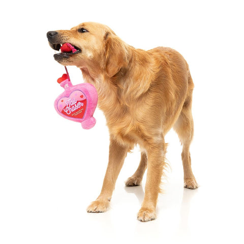 FuzzYard Valentine’s Tail Chaser Perfume – Valentijns pluche hondenspeeltje met geborduurde details en touw om aan te trekken