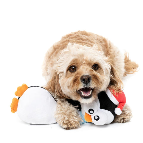 Hond ligt met een zwart-witte pluche pinguïn als hondenspeeltje