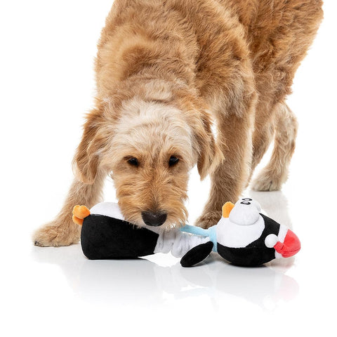 Hond speelt met een zwart-witte pluche pinguïn als hondenspeeltje