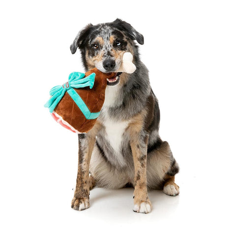 Hond speelt met een pluche kerstham als hondenspeeltje in de bek