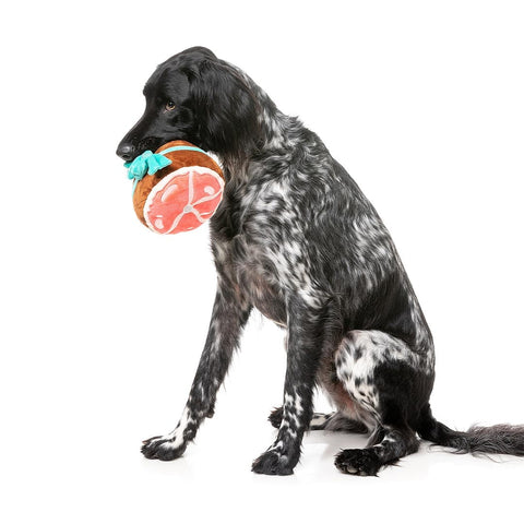 Hond zit met een pluche kerstham als hondenspeeltje in de bek