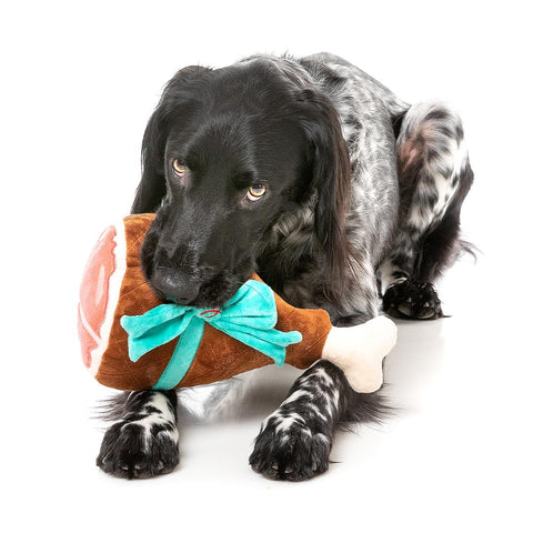 Hond ligt en speelt met een pluche kerstham als hondenspeeltje