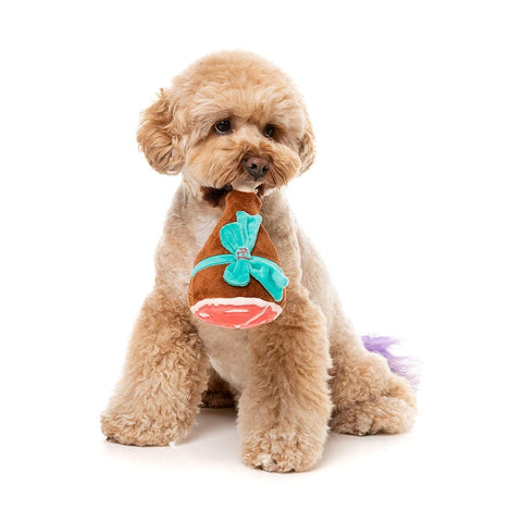 Hond zit met een pluche kerstham als hondenspeeltje voor de borst