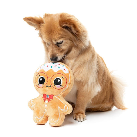 Hond zit naast een groot pluche peperkoekfiguur als hondenspeeltje