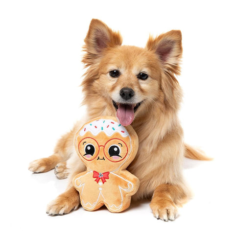Hond zit achter een klein pluche peperkoekfiguur als hondenspeeltje