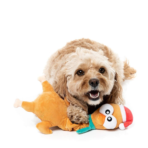 Hond ligt met een pluche kalkoen als hondenspeeltje tussen de voorpoten