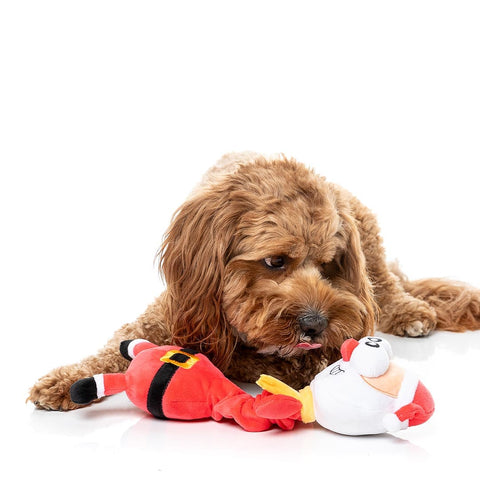Hond speelt met een pluche kerstman als hondenspeeltje met lange nek