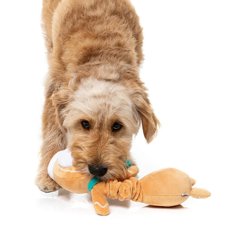 Hond speelt met een pluche peperkoekfiguur als hondenspeeltje bij de lange nek