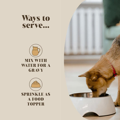 Hackney Dog House Chicken Bone Broth – voordelen van dagelijks gebruik: hydratatie, gewrichten, huid en vacht