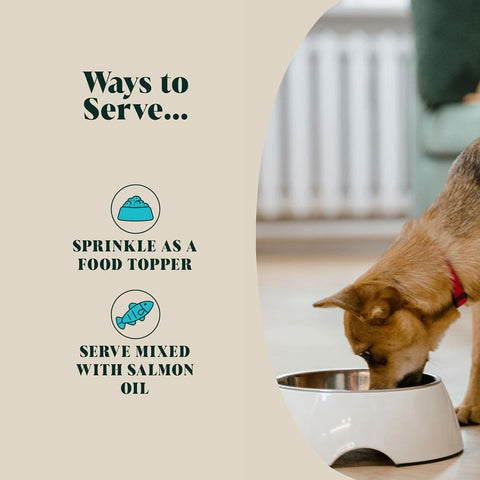 Hackney Dog House Plaque Out Powder – serveeradvies, strooien over voer of mengen met zalmolie als natuurlijke tandverzorging voor honden