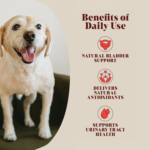 Hackney Dog House – Cranberry (Blaas & Urinewegen) – natuurlijke ondersteuning voor blaasfunctie, antioxidanten en urinewegen bij honden