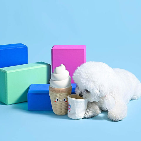 HugSmart Food Party – Ice Cream - Puppy Village.nl