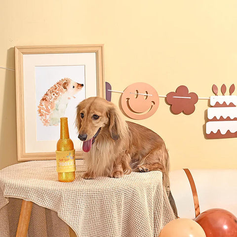 HugSmart Yappy Birthday - Sip, Sip, Hooray! - Puppy Village.nl