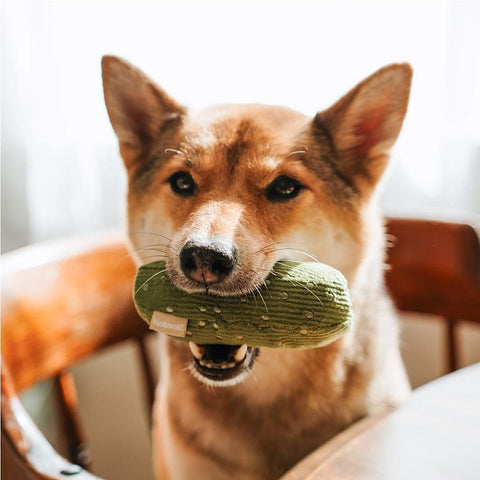 Lambwolf Collective Bagel & Pickle