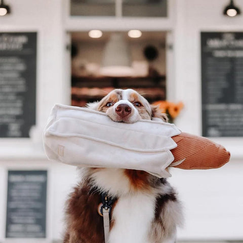 Lambwolf Collective Baguette