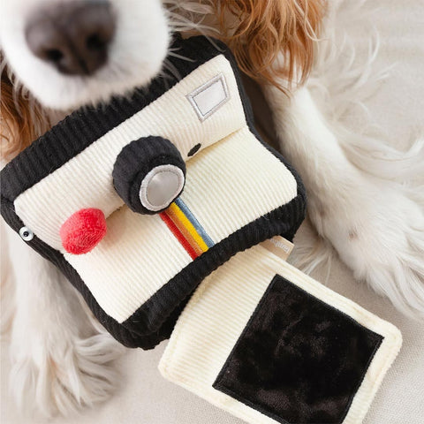 Lambwolf Collective Instant Camera
