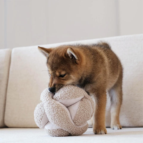 Lambwolf Collective MONTI Crinkly + Squeaky Snuffle Ball – Oat