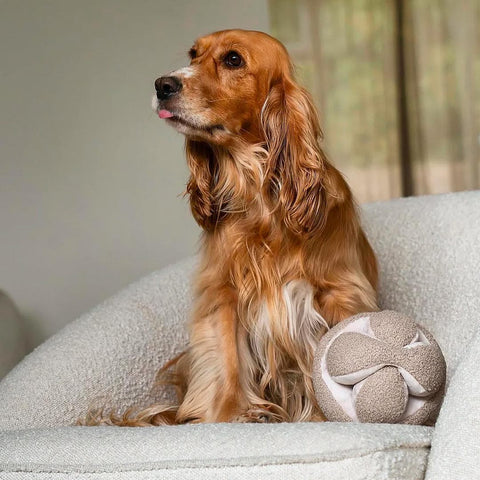 Lambwolf Collective MONTI Crinkly + Squeaky Snuffle Ball – Oat
