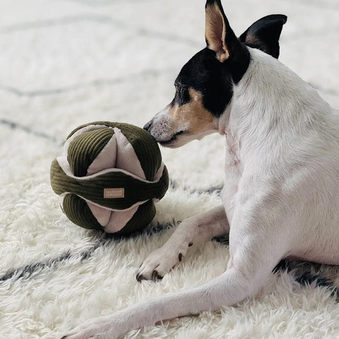 Lambwolf Collective MONTI Crinkly + Squeaky Snuffle Ball – Pine