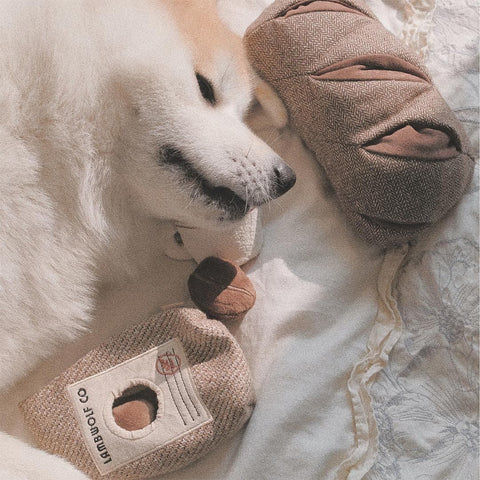 Lambwolf Collective Rye Bread