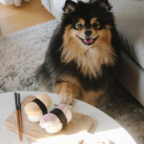 Lambwolf Collective Sushi