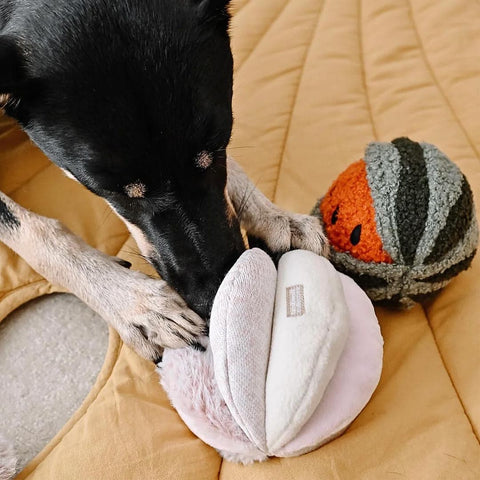 Lambwolf Collective TOTO Squeaky Snuffle Ball – Blush Pink