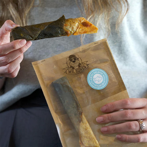 Mr. Bones Atlantische Zalmrolletjes – close-up van 100% natuurlijke hondensnack van zalm, rijk aan eiwitten en omega-3 vetzuren, stevige rolvorm voor kauwplezier en gebitsverzorging