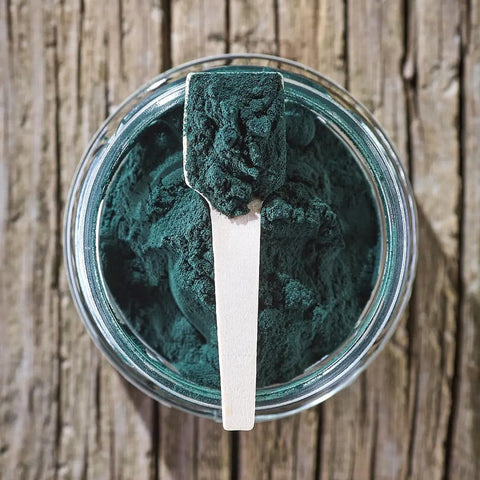 Mr. Bones Spirulina – 100% natuurlijk spirulina algenpoeder voor honden, rijk aan antioxidanten ter ondersteuning van vitaliteit en weerstand