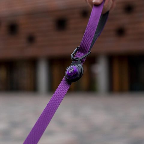 Orbiloc Carabiner