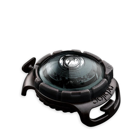 Orbiloc Dog Dual DARK – LED veiligheidslampje voor honden, waterdicht hondenlampje voor halsband of tuigje, maakt je hond zichtbaar tot 5 km in het donker