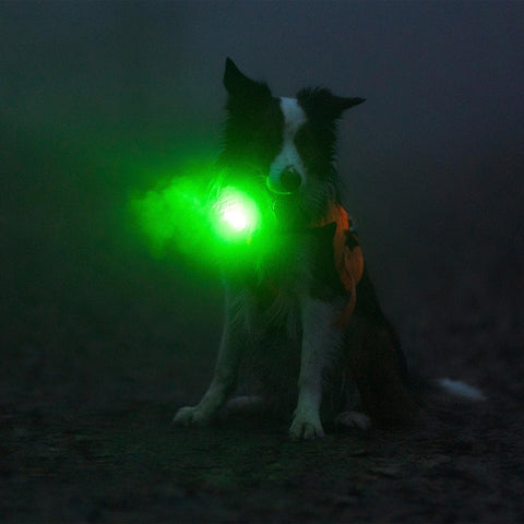 Orbiloc Dog Dual Groen – LED lampje bevestigd aan hondenhalsband, zorgt dat je hond goed zichtbaar is bij weinig licht en verkeer
