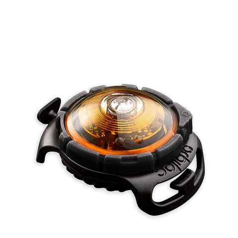 Orbiloc Dog Dual Geel – LED veiligheidslampje voor honden, waterdicht hondenlampje voor halsband of tuigje, maakt je hond zichtbaar tot 5 km in het donker