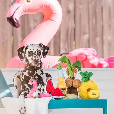 Pet P.L.A.Y. Tropical Paradise - Paws Up Pineapple - Puppy Village.nl