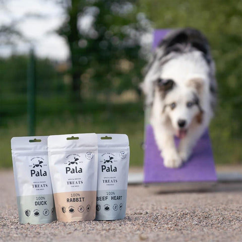 Hond samen met de verpakking van Pala Dog Treats 100% Beef Liver – natuurlijke hondensnacks van runderlever, monoproteïne, graanvrij en hypoallergeen, rijk aan voedingsstoffen