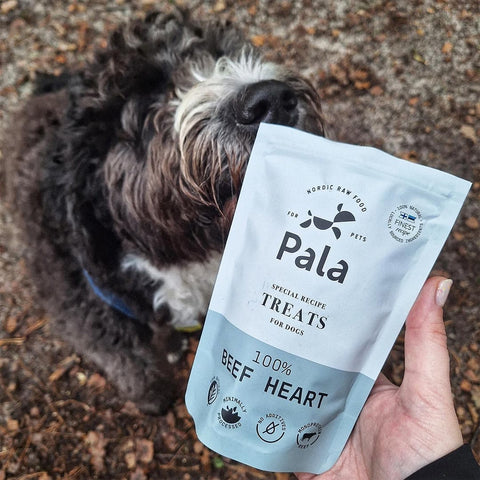 Hond samen met de verpakking van Pala Dog Treats 100% Beef Heart – natuurlijke hondensnacks van runderhart, luchtgedroogd, monoproteïne en hypoallergeen