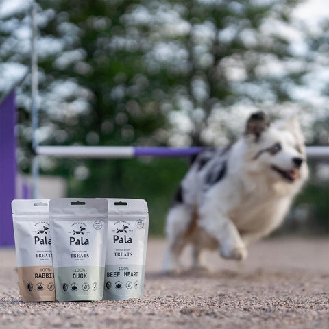 Hond samen met de verpakking van Pala Dog Treats 100% Beef Heart – natuurlijke hondensnacks van runderhart, luchtgedroogd, monoproteïne en hypoallergeen