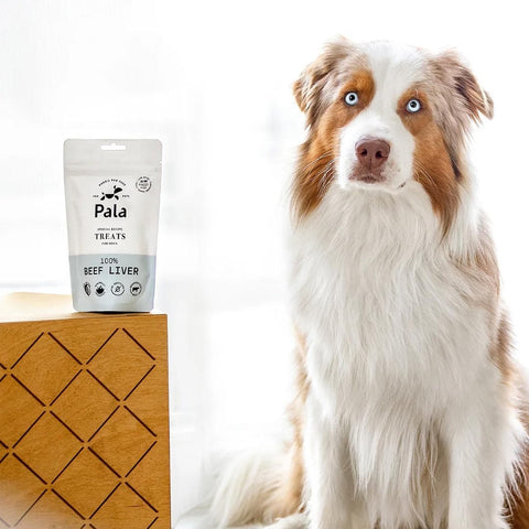 Hond samen met de verpakking van Pala Dog Treats – 100% Beef Liver – natuurlijke hondensnacks van runderlever, luchtgedroogd en rijk aan eiwitten voor honden